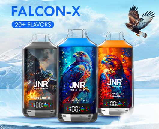 JNR FALCON X 18k PUFF 18000 PAGE IMAGE