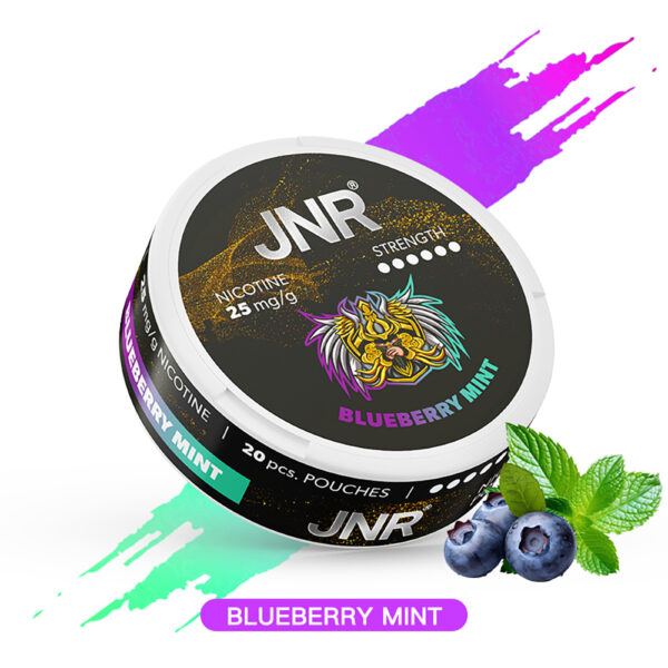 Blueberry Mint NICOTINE POUCHES JNR