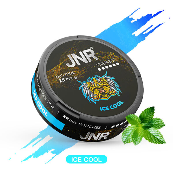 Ice Cool NICOTINE POUCHES JNR
