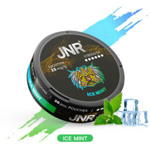 Ice Mint NICOTINE POUCHES JNR