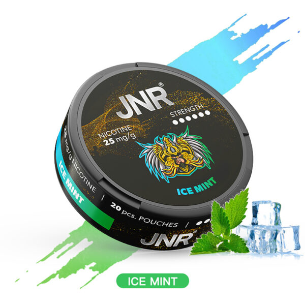 Ice Mint NICOTINE POUCHES JNR