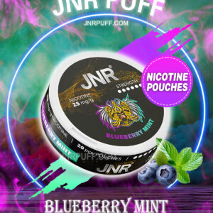 JNR NICOTINE POUCHES Blueberry Mint