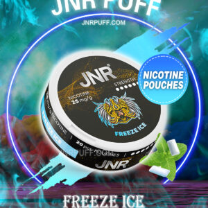 JNR NICOTINE POUCHES Freeze Ice