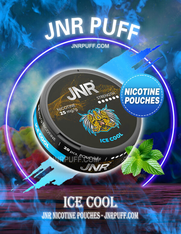 JNR NICOTINE POUCHES Ice Cool