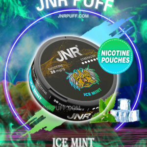 JNR NICOTINE POUCHES Ice Mint