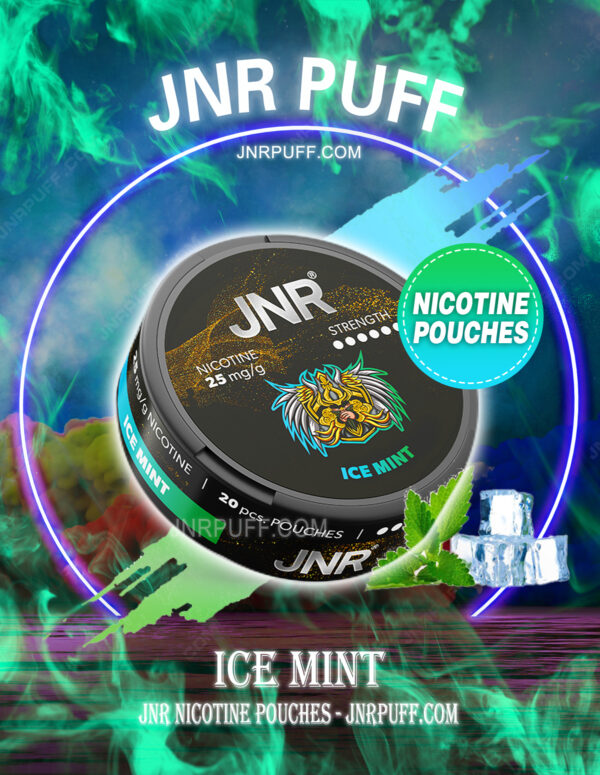 JNR NICOTINE POUCHES Ice Mint