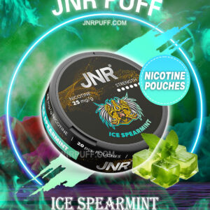 JNR NICOTINE POUCHES Ice Spearmint