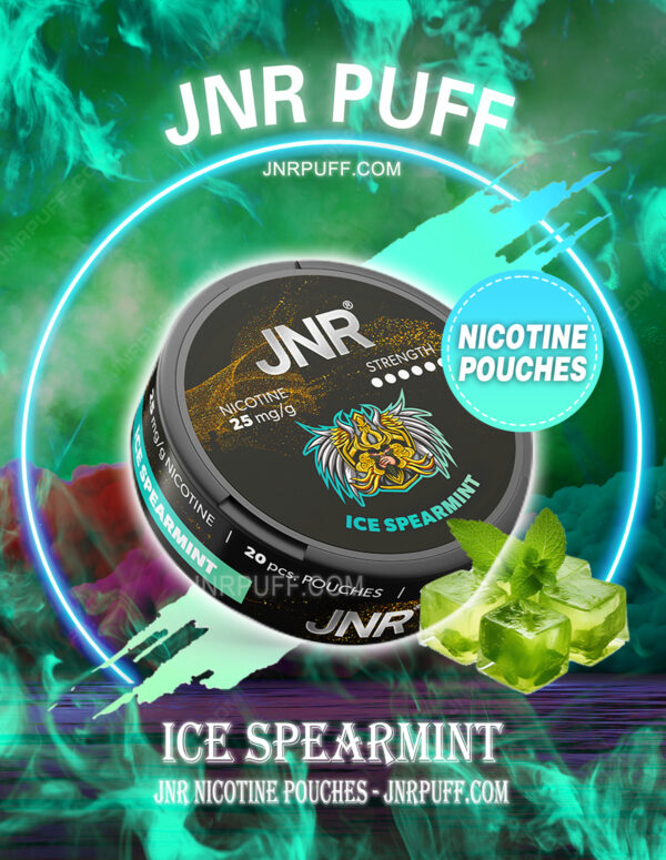 JNR NICOTINE POUCHES Ice Spearmint