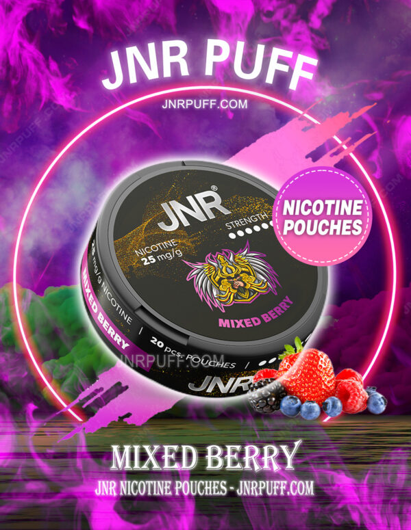 JNR NICOTINE POUCHES Mixed Berry