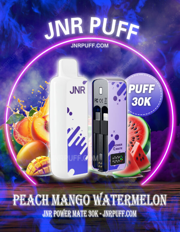 JNR POWER MATE 30000 Puff Peach Mango Watermelon