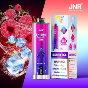 JNR Puff shisha 22K Berry Ice