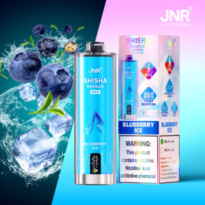 JNR Puff shisha 22K Blueberry Ice