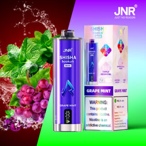 JNR Puff shisha 22K Grape Mint