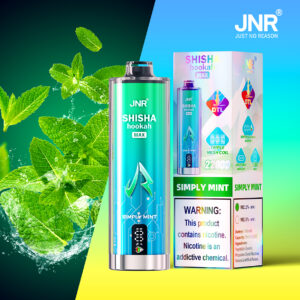 JNR Puff shisha 22K Simply Mint
