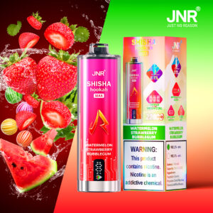 JNR Puff shisha 22K Watermelon Strawberry Bubblegum