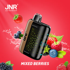 JNR VAPE PLUS X 26K PUFF Mieszane jagody