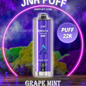 JNR VAPE SHISHA MAX 22000 Puff GRAPE MINT