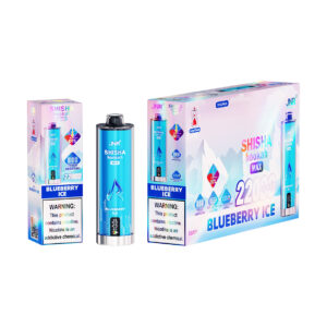 JNR electronic shisha 22K Blueberry Ice