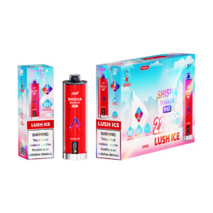 JNR elektronisk shisha 22K Lush Ice
