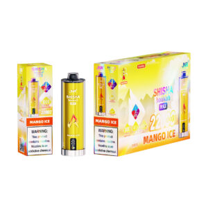 JNR electronic shisha 22K Mango Ice