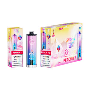 JNR 22K Peach Ice electronic shisha