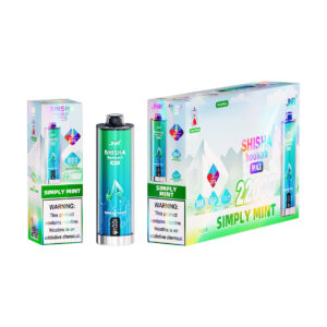 JNR 22K Simply Mint elektronische shisha