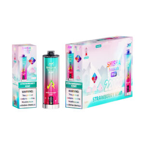 JNR elektronisk shisha 22K Strawberry Kiwi