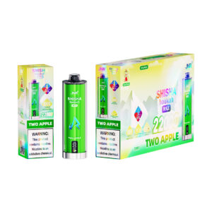 JNR chicha electronique 22K Two Apple