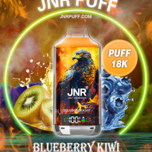 jnr falcon x 18k puff 18000 Blueberry Kiwi
