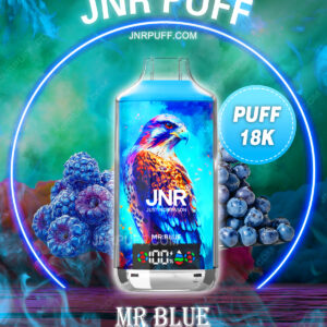 jnr falcon x 18k puff 18000 Mr Blue