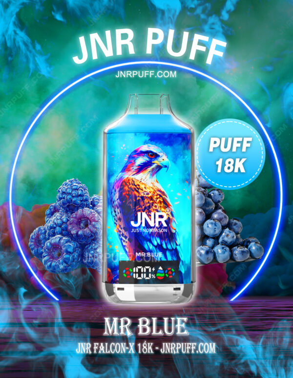 jnr falcon x 18k puff 18000 Mr Blue