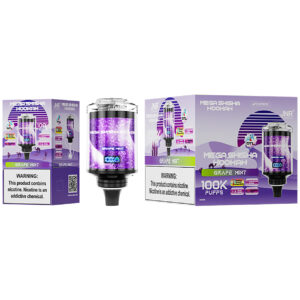 jnr mega shisha hookah Grape Mint