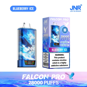 JNR 28000 PUFFS Blueberry Ice