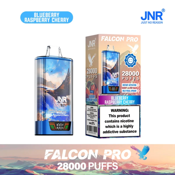 JNR 28000 PUFFS ブルーベリー・ラズベリー・チェリー