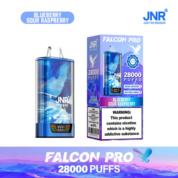 JNR 28000 PUFFS ブルーベリー・サワー・ラズベリー