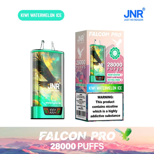 JNR 28000 PUFFS キウイ・スイカ・アイス