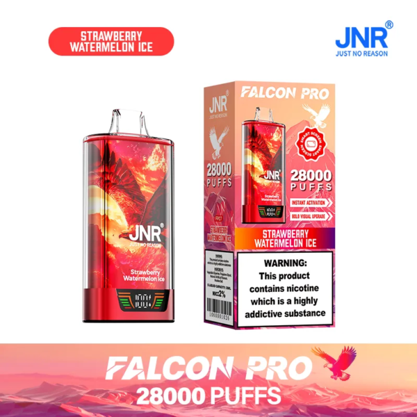JNR 28000 PUFFS ストロベリー・スイカ・アイス