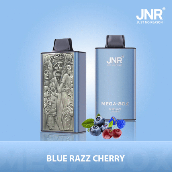 JNR メガボックス 25K ブルーラズベリー