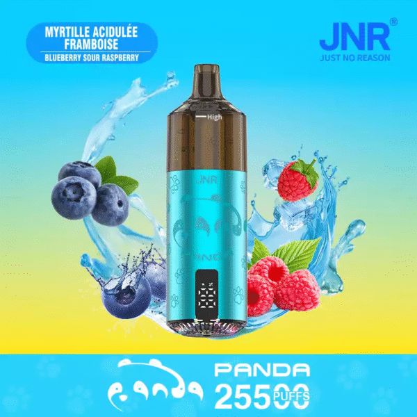 vape shop chatelet Kit UTCO Puff Panda 8000 puff cigarette électronique jetable rechargeable  pas cher France – frvapormo main image 1