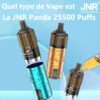 What type of Vape is the JNR Panda 25500 puffs?
