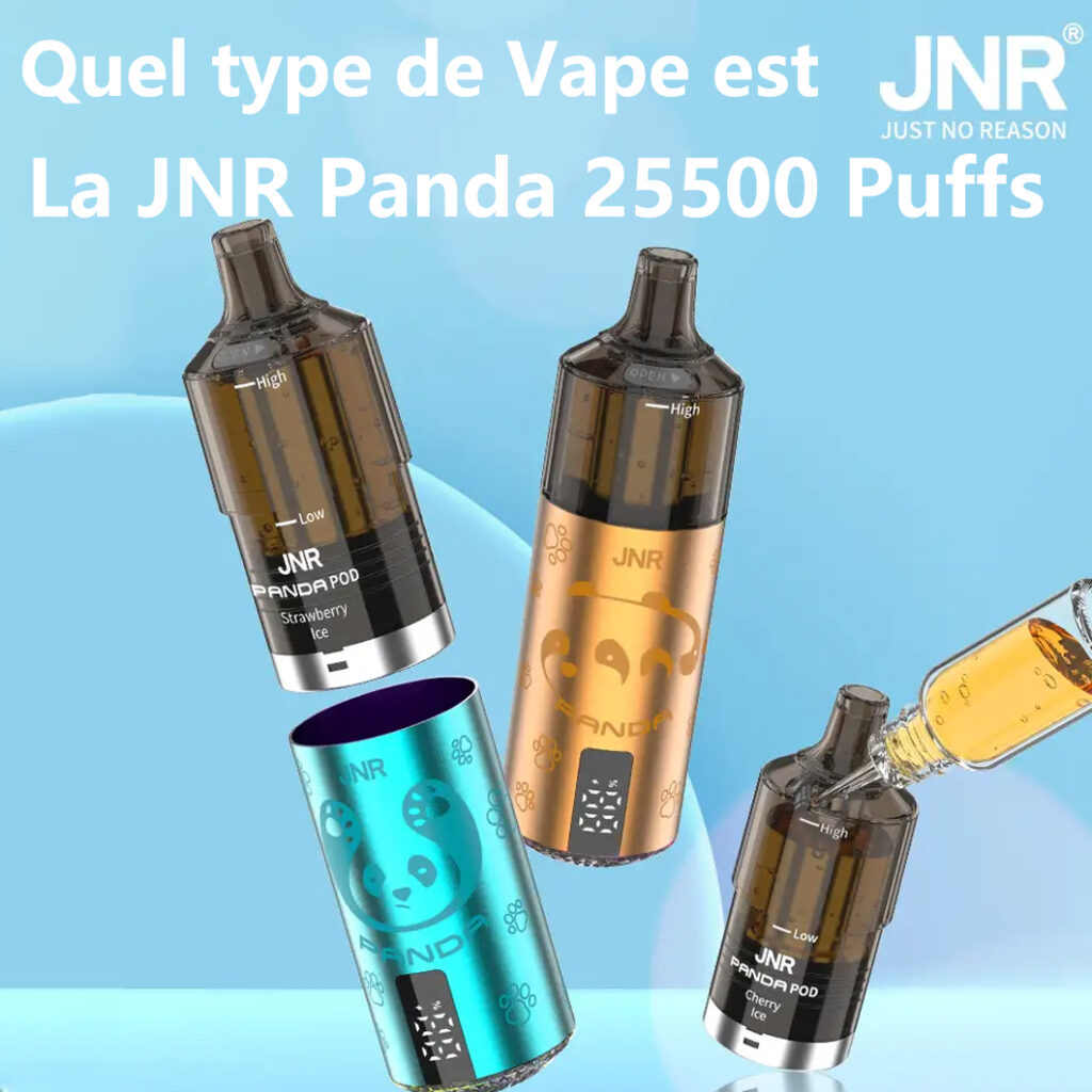 What type of Vape is the JNR Panda 25500 puffs?