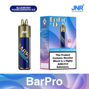 JNR Bar Pro 10000 Züge Blaubeere-Granatapfel-Eis