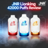 JNR Lionking 42000 Puffs Review