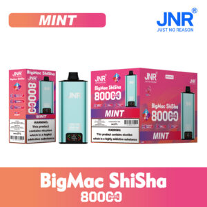 Mint JNR Big Mac Shisha 80k