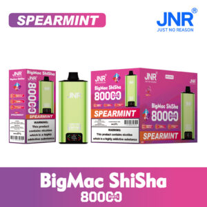 Spearmint JNR Big Mac Shisha 80k