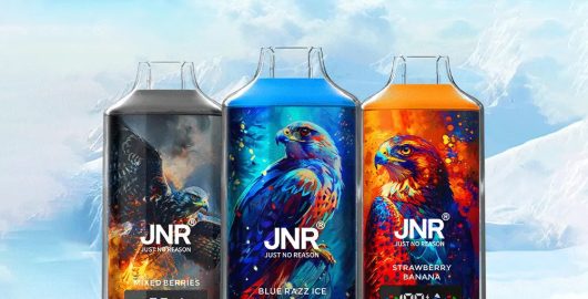 Pourquoi choisir la jetable JNR Falcon X 18000 Puffs1